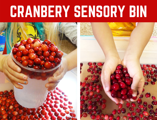 Cranberry Sensory Bin activity! Fun play activity for building fine motor skills and learning about measuring. Perfect for toddlers, preschool, and kindergarten! #cranberrysensorybin #sensoryplay #funearlylearning