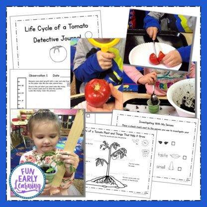 Fun In the Garden Theme for Preschool, Kindergarten, and Kids! Great learning activities, literacy centers, math centers, science experiments, and crafts for the garden theme.