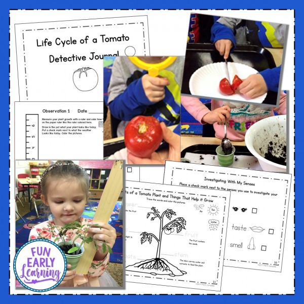 Fun In the Garden Theme for Preschool, Kindergarten, and Kids! Great learning activities, literacy centers, math centers, science experiments, and crafts for the garden theme.