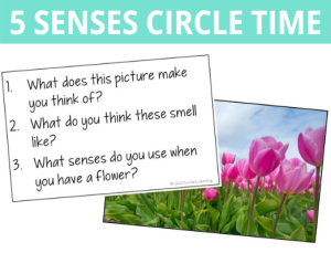 5 senses circle time activity. Fun discussion questions and 5 senses picture cards for preschool and kindergarten.