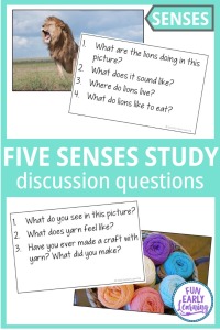 5 senses circle time discussion questions for preschool and kindergarten. Fun and engaging activities for our five senses study.
