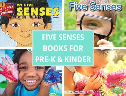 Favorite Five Senses Books for Preschool and Kindergarten! Fun reading book list for children learning all about the 5 senses. #five senses #booklist #funearlylearning