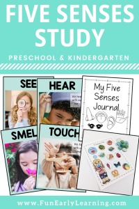 five-senses-for-preschoolers